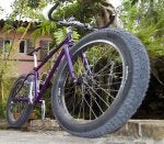 Bicycle tire Tire Wheel Bicycle frame Bicycle wheel