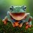 Mountainfrog