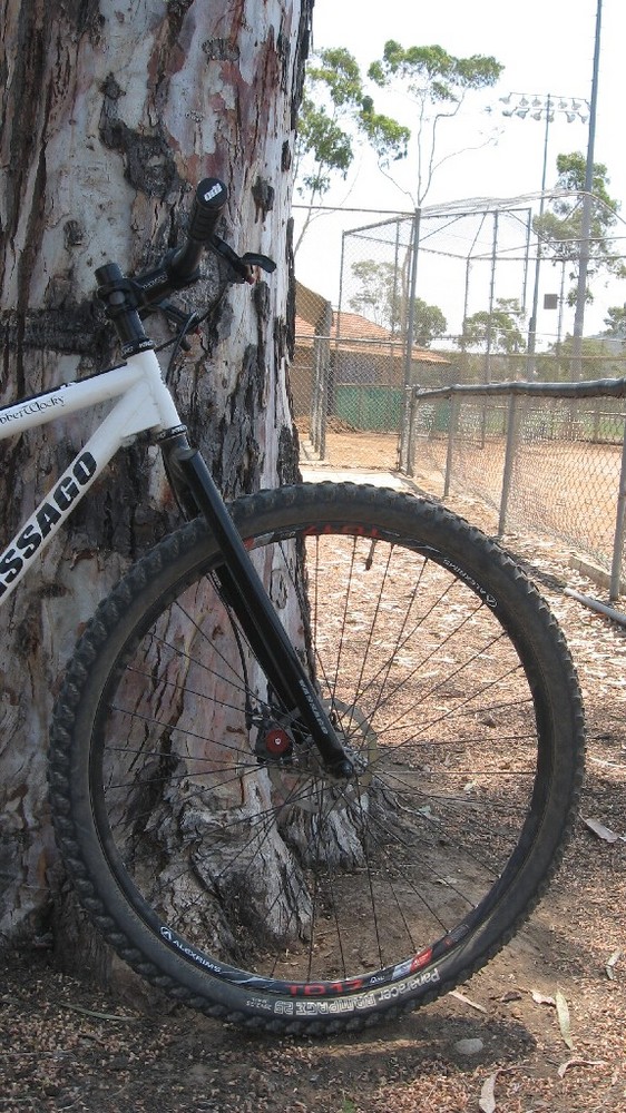 Salsa cromoto grande 2025